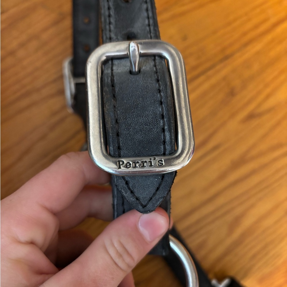 Horse halter